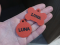 Dog name tag
