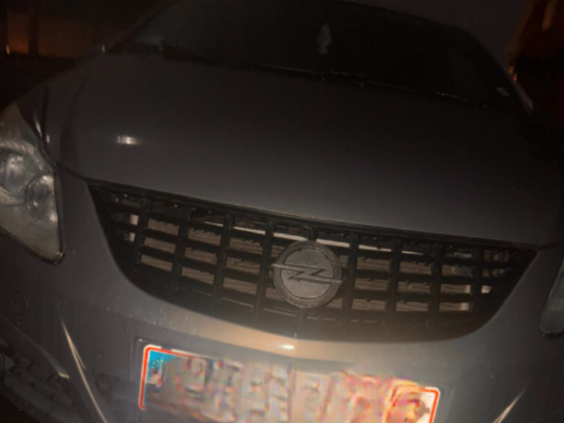 Custom car logo emblem for any grill