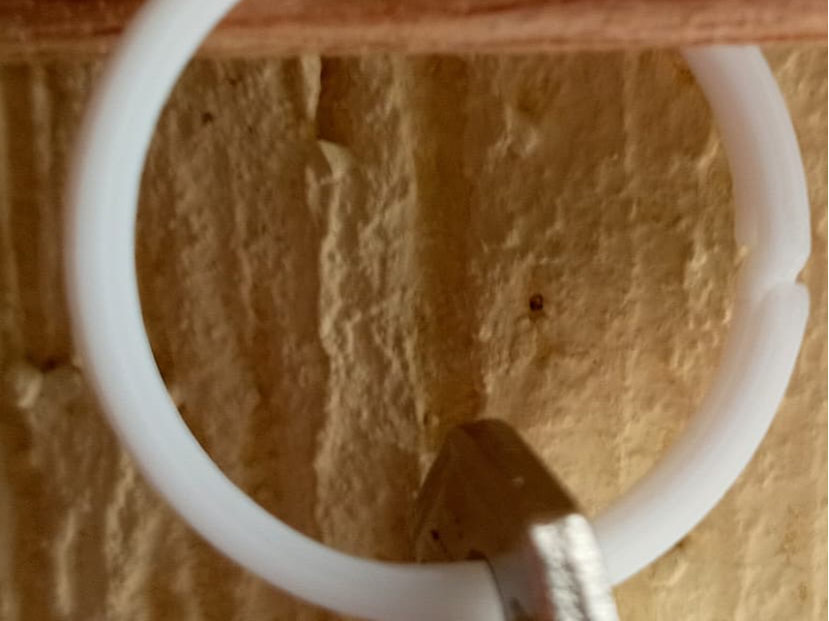 Plastic ring - Argolla de plástico