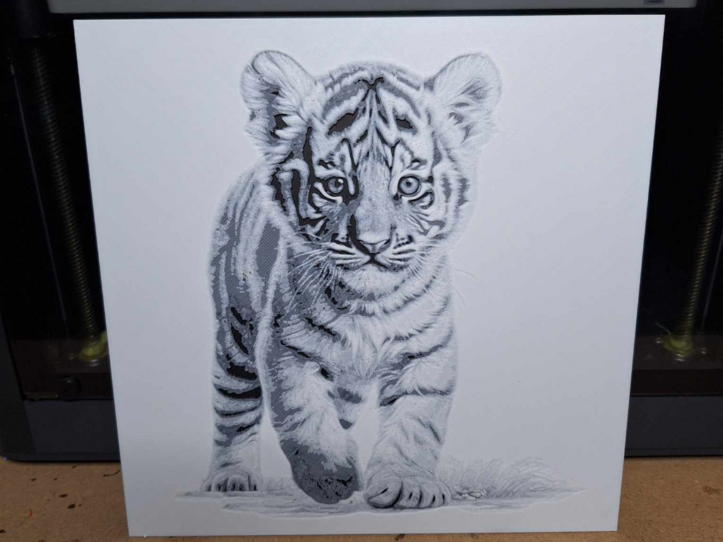 Black and white - Tiger cub - 2 colours - hueforge