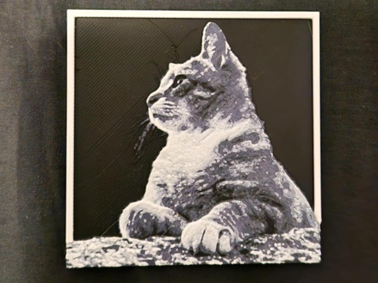 Cat side profile 3d/2d picture small with frame