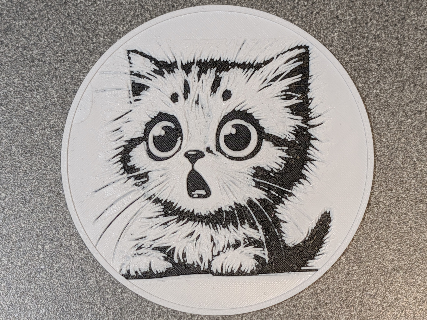 Shocked Cat Coaster 4