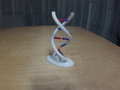 Interactive DNA Model