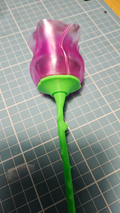 Reinforced Rose Stem
