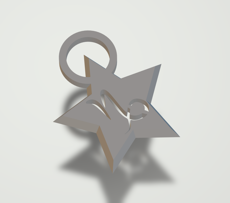 Zodiac keychain / pendant capricorn star