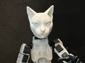 Cat Head For Dummy 13 Articulated Figure