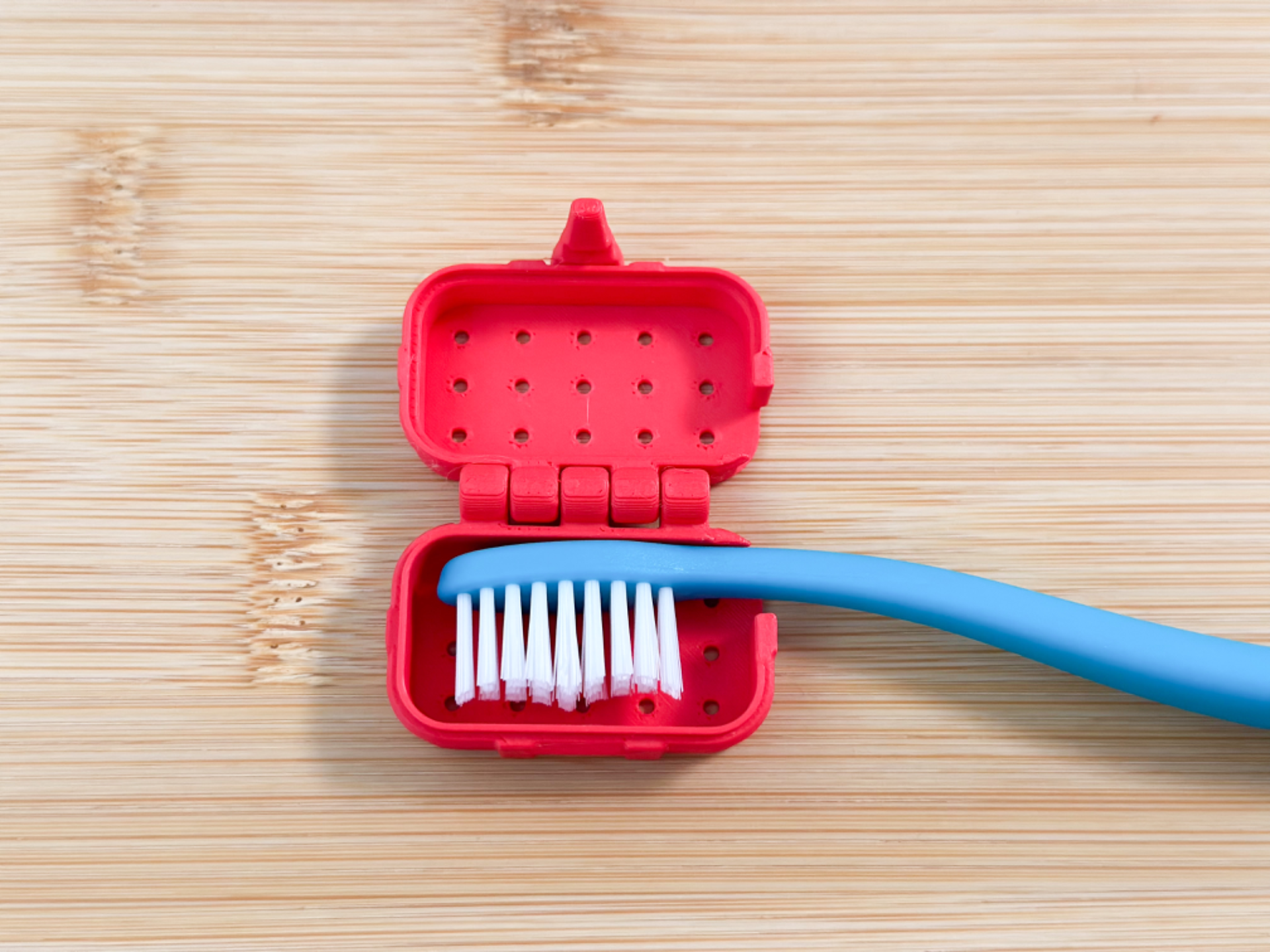 Print in Place Travel Case for Toothbrushes