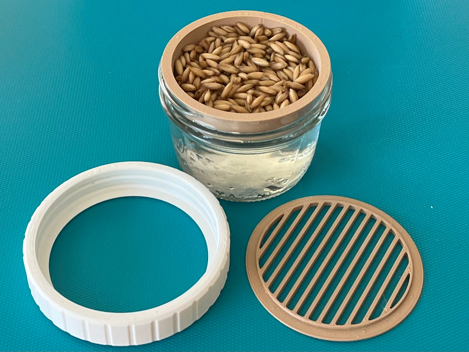 Cat Grass Growing Kit for Canning Jar