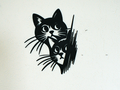 2 Cat