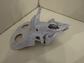 Torosaurus Skull