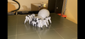 Flexi Spider