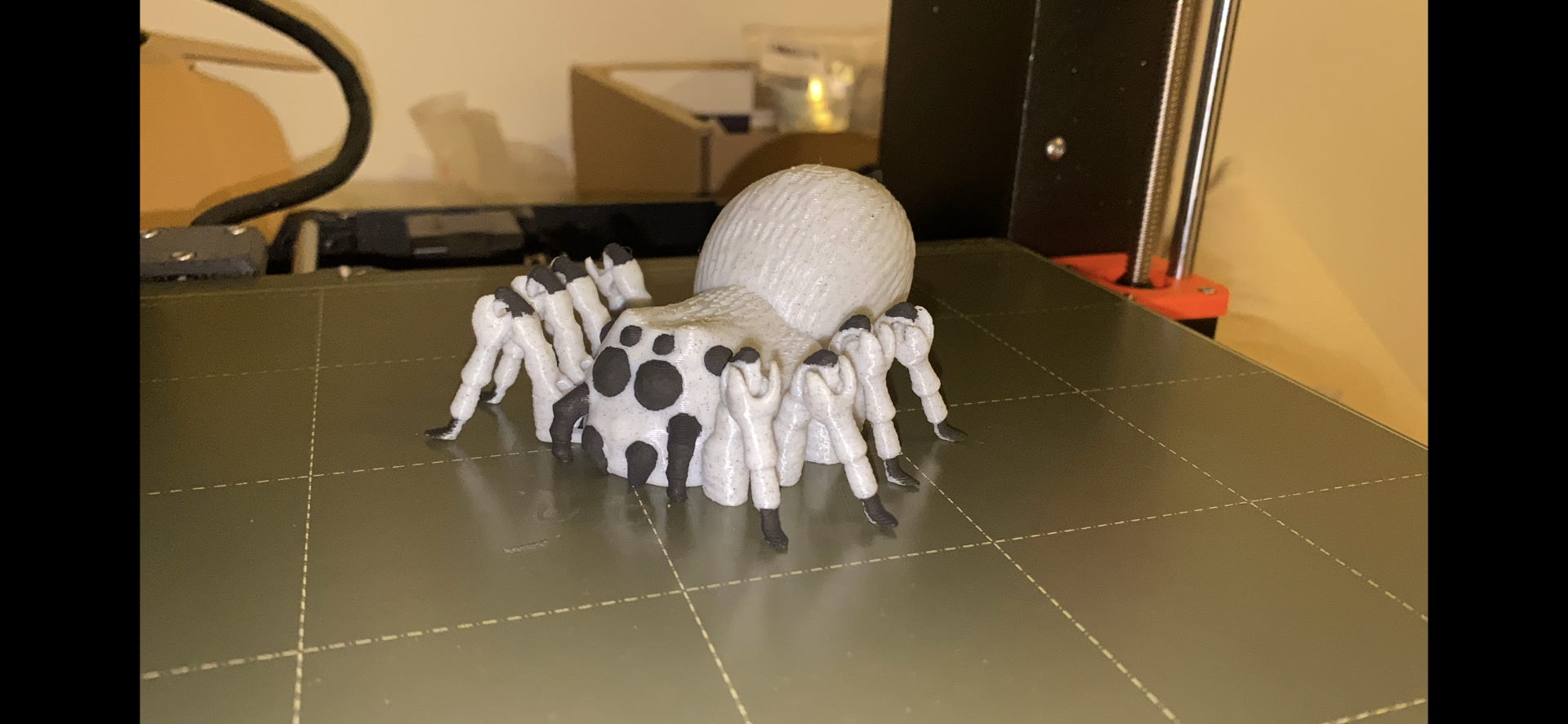Flexi Spider