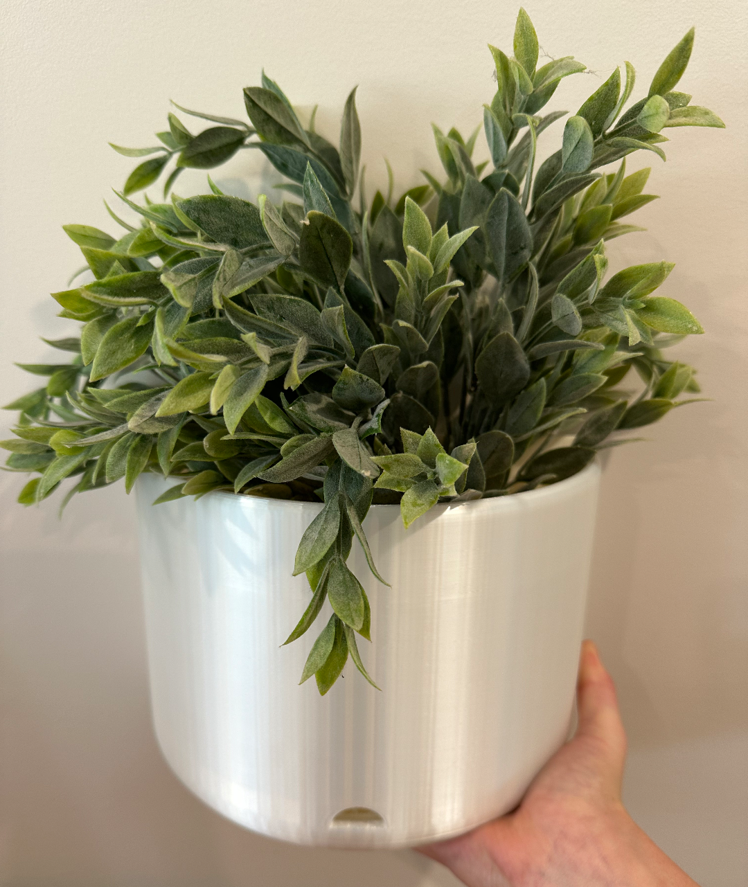 Wall Mounted Plant Pot