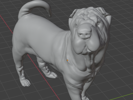Shar Pei Dog