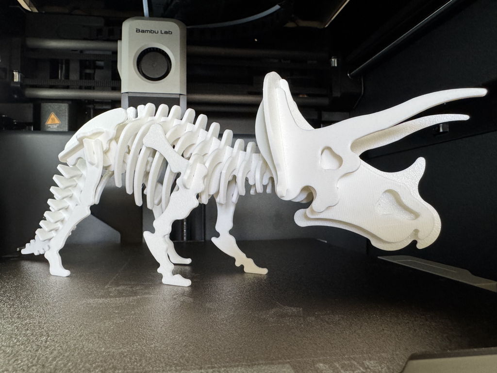 Triceratops Dinosaur Skeleton Puzzle