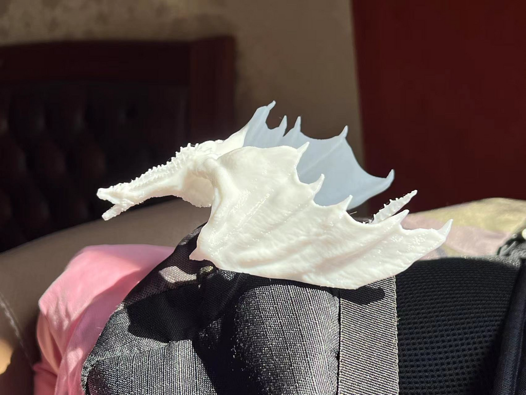 dragon 龙