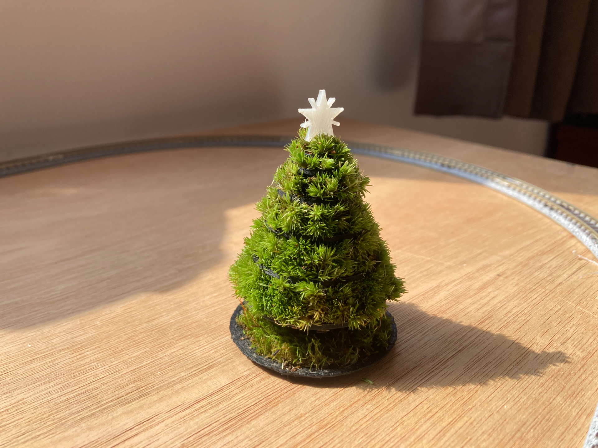 圣诞树 青松 Relax tree chistmmas tree