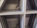 coffin shelf mini