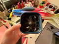 Mobula 7 case
