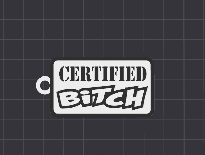 b-tch keychain /necklace charm (free commercial)