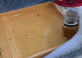 乌龟洗澡喝水盆