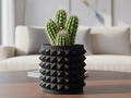 Spiky Planter