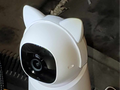 Cat Ears scaled for Eufy C210/C220 camera