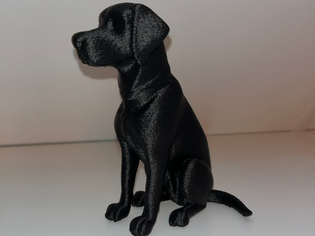Labrador Dog Senna Decor