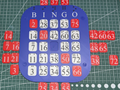 Visually Impaired & Blind People Bingo Card