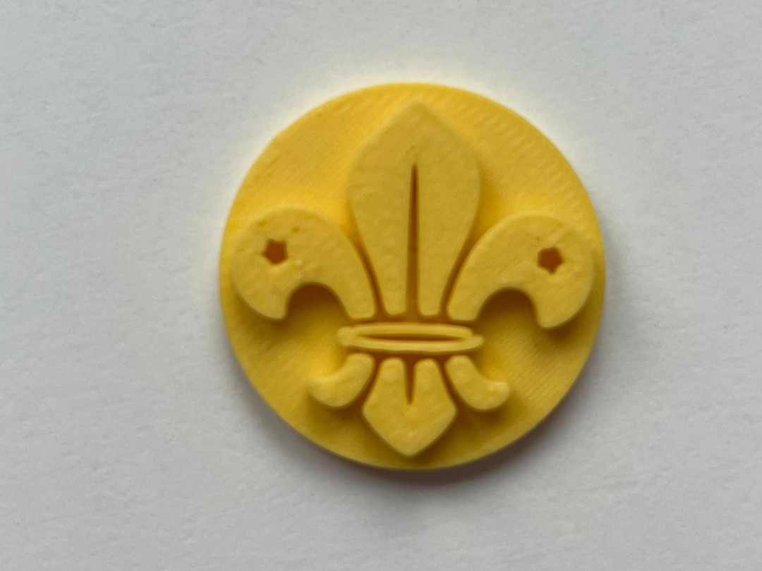 Scout badge logo