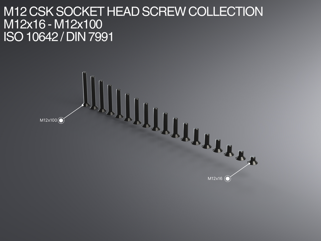 M12 CSK Socket Head Screw Collection M12x16-x100
