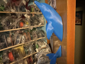 Dolphin out of wall
