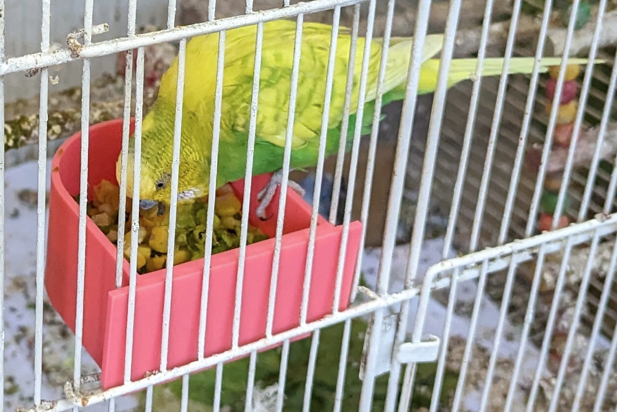 Round bird feeder for cage