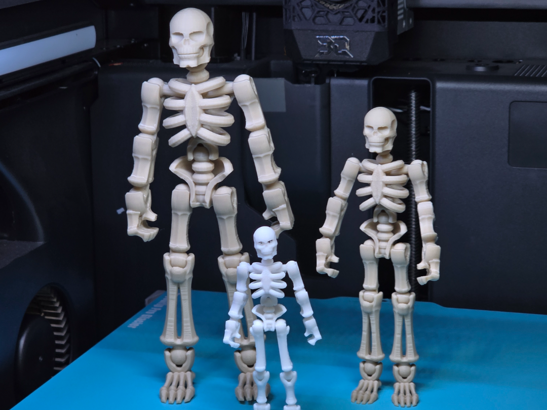 Poseable Skeleton