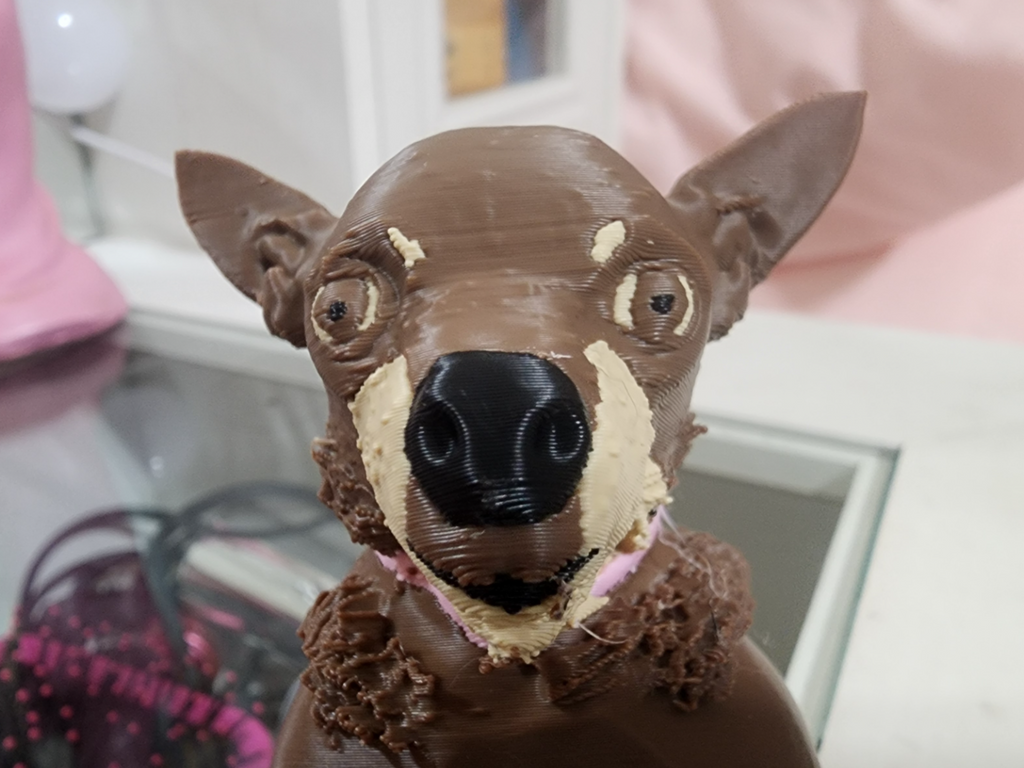 My Dog