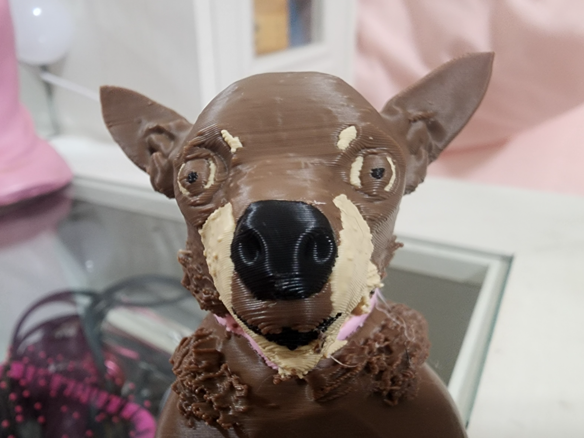 My Dog