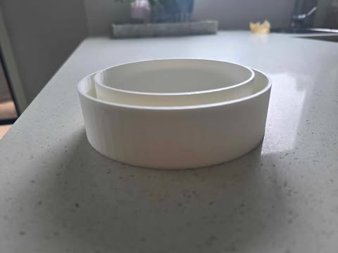 Dog bowl with moat to stop ants