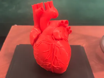 Heart