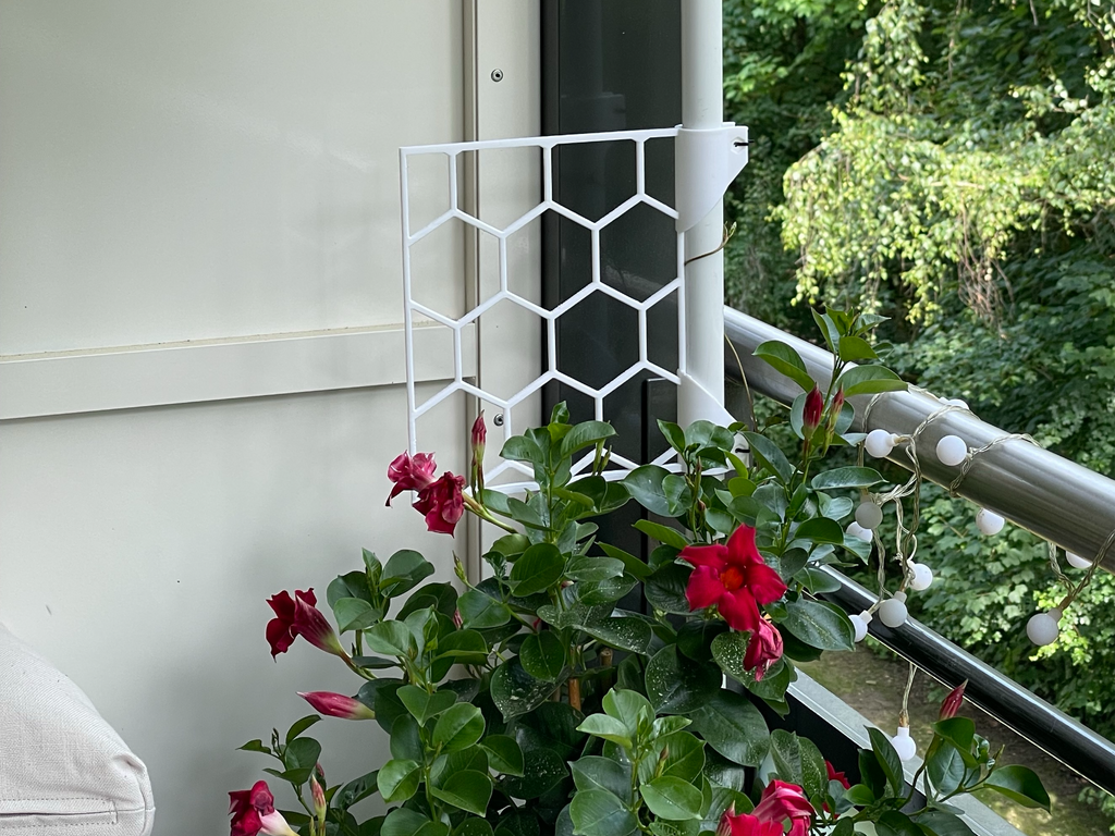Climbing Plant Trellis | parametric