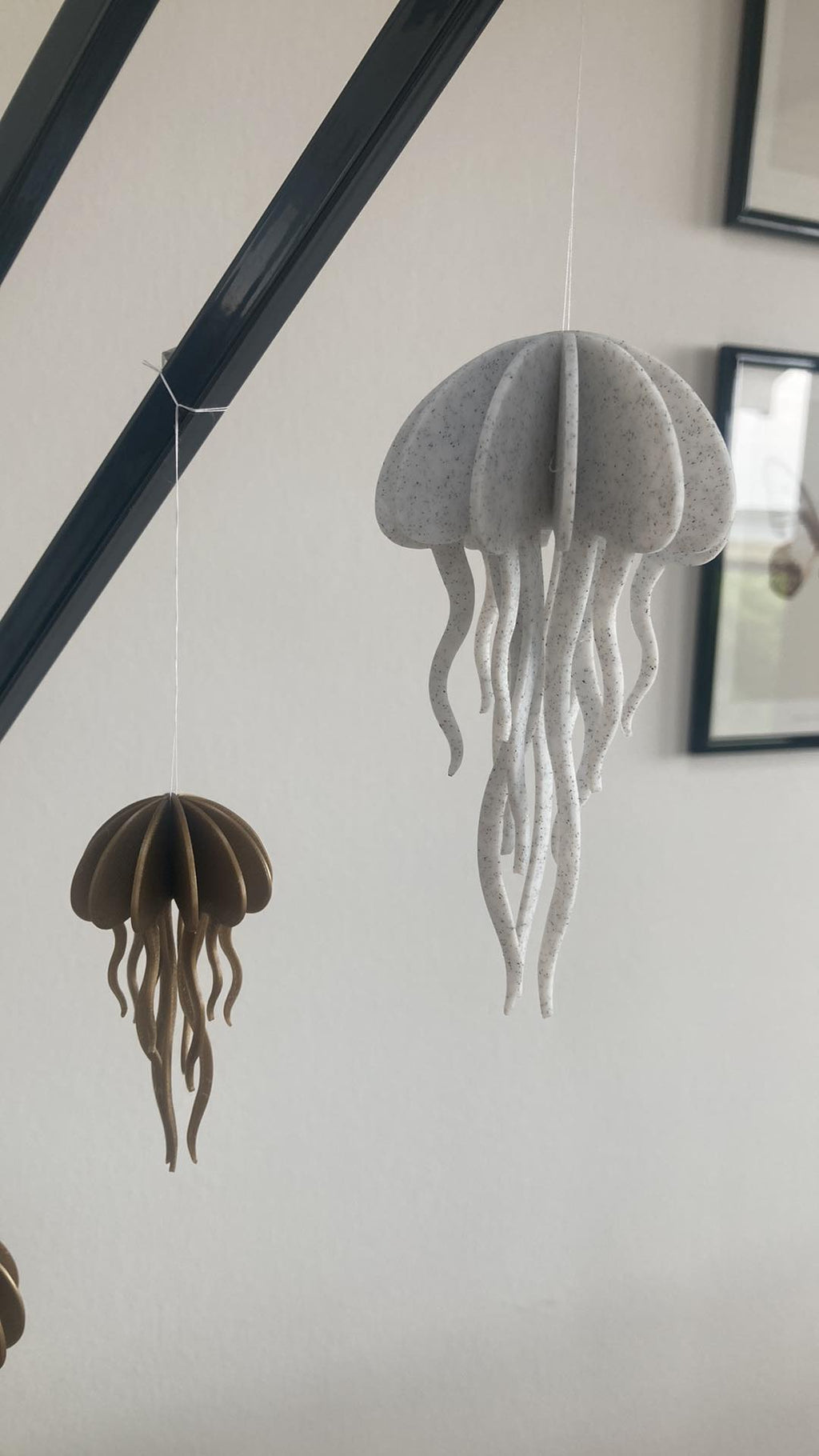 Jellyfish model