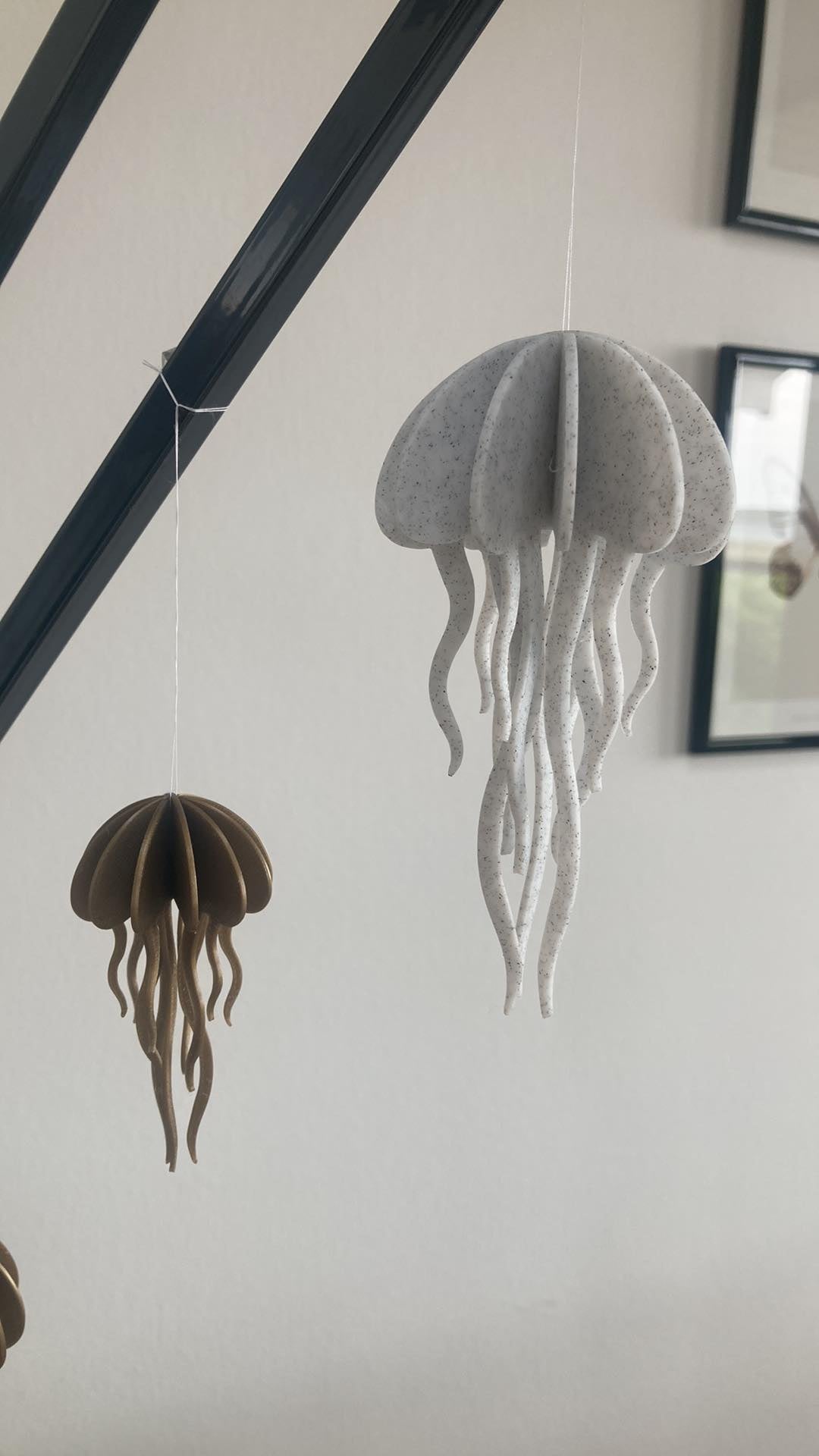 Jellyfish model