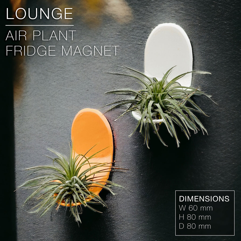 LOUNGE | Air Plant Holder Fridge Magnet