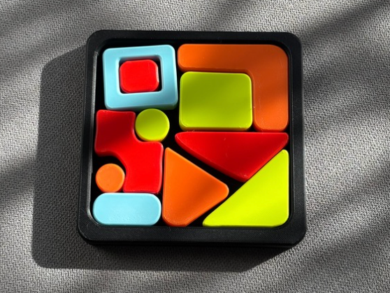 Geometric Brain Puzzle