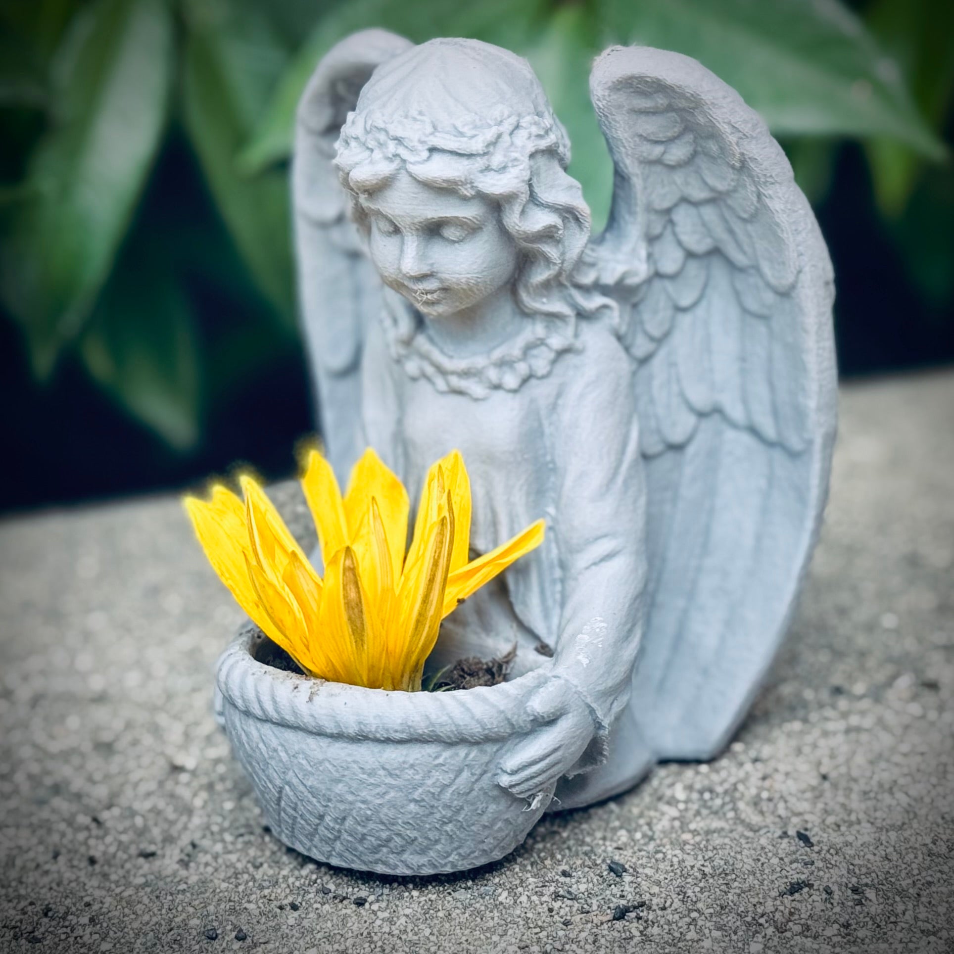 Angel Holding A Basket