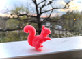 Little Squirrel