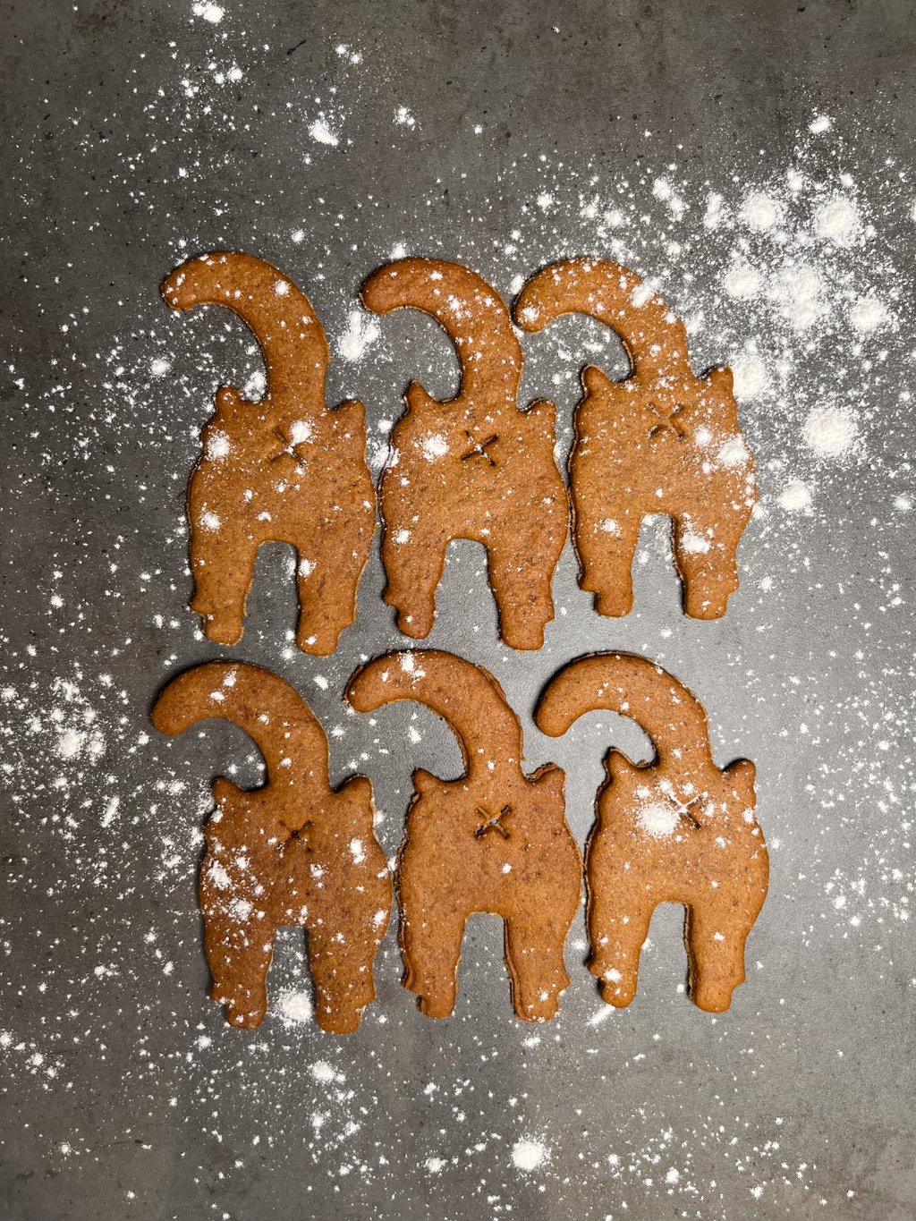 Cat cookie cutter