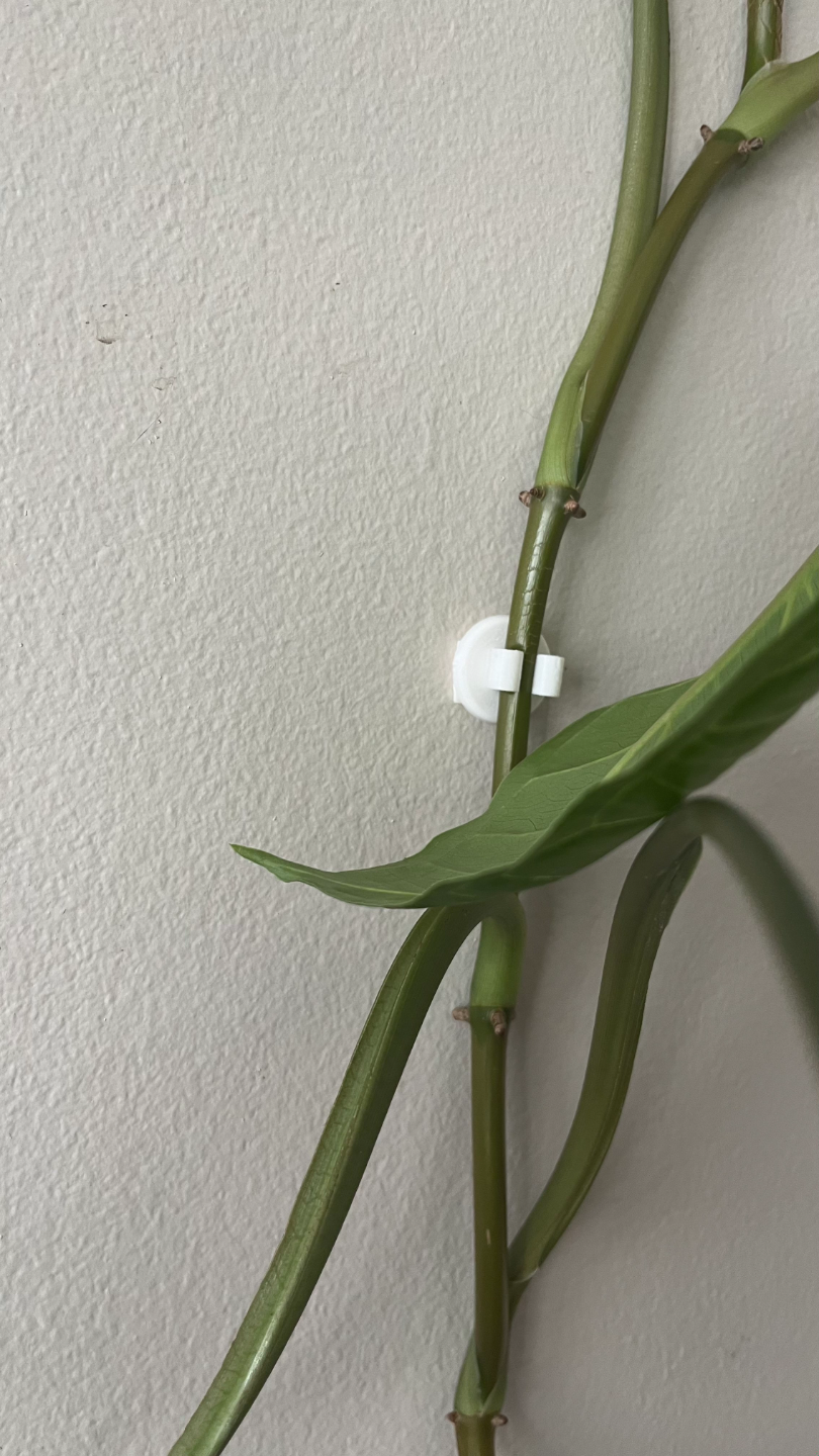 Plant Wall Clips