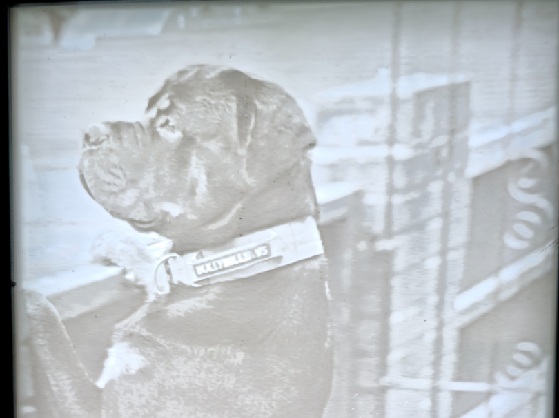 Lithophane photo and frame