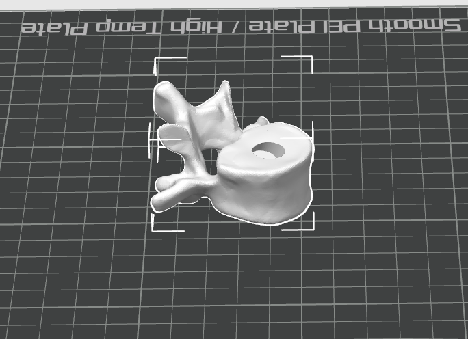 Vertebrae Pen Pencil Holder