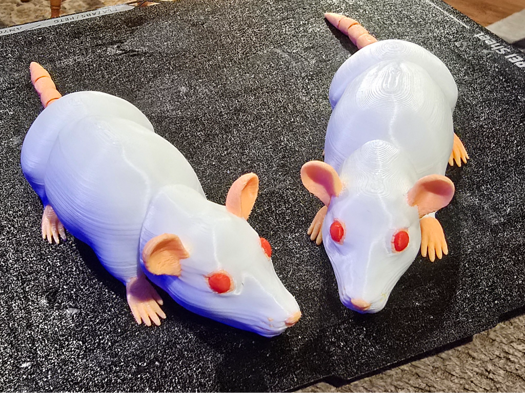Realistic articulated rat